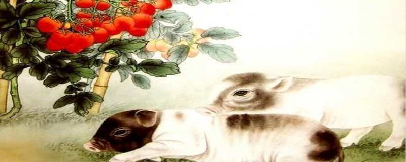"十猪九苦?1983年出生的属猪人运势如何?