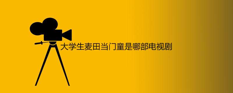 大学生麦田当门童是哪部电视剧