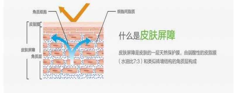 冰溪皮肤屏障修护乳能长期用吗
