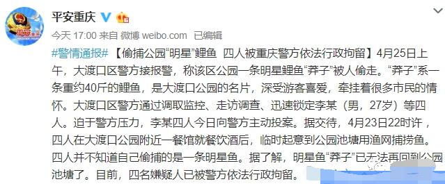 重庆“明星鱼”被偷，明星鱼”莽子“被四名不法分子吃掉