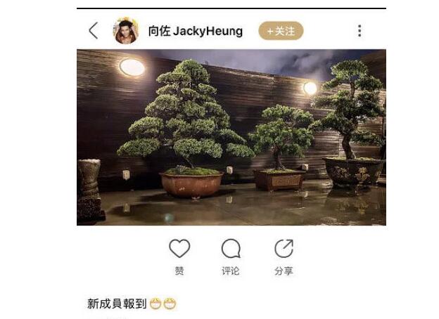 ​真假！台媒曝郭碧婷怀孕向佐早已发文暗示