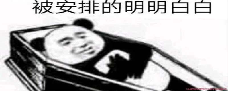 安排是什么梗