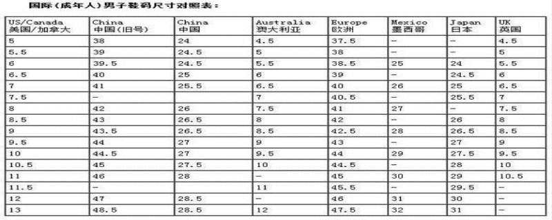 鞋号255图片