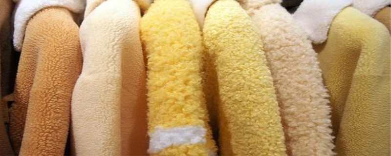 颗粒羊毛是什么面料