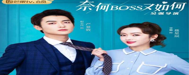奈何boss又如何有多少集