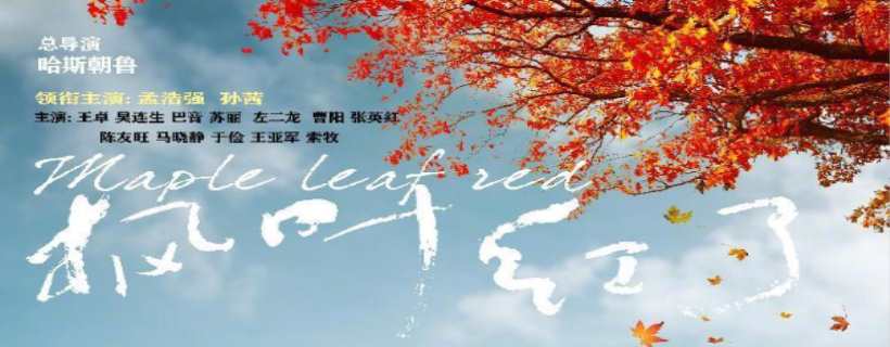 枫叶红了电视剧共多少集