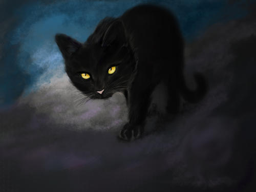 纯黑猫进家有什么预兆，要做些什么？猫主动来家中会有好运还是厄运？