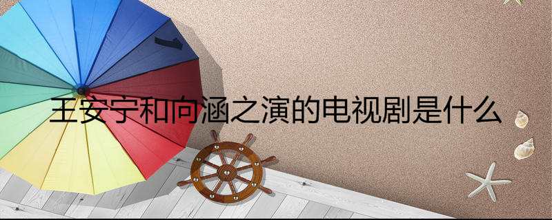 王安宁和向涵之演的电视剧是什么