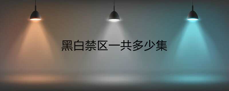 黑白禁区一共多少集
