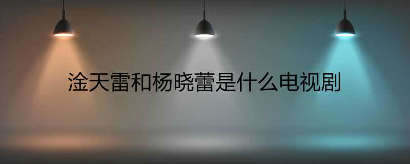 淦天雷和杨晓蕾是什么电视剧