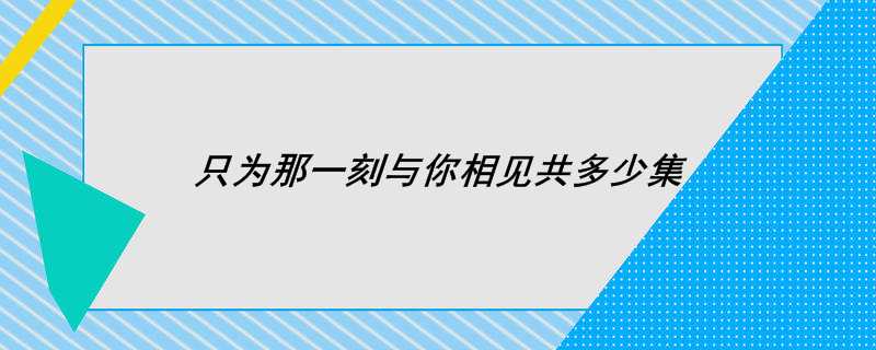 只为那一刻与你相见共多少集