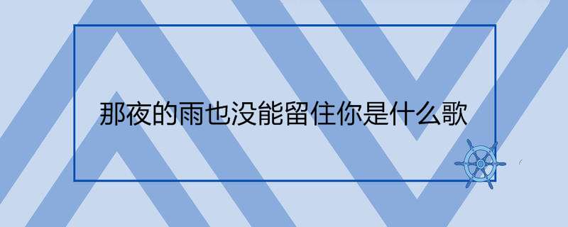 那夜的雨也没能留住你是什么歌