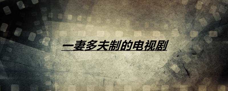 一妻多夫制的电视剧 一妻多夫制的电视剧