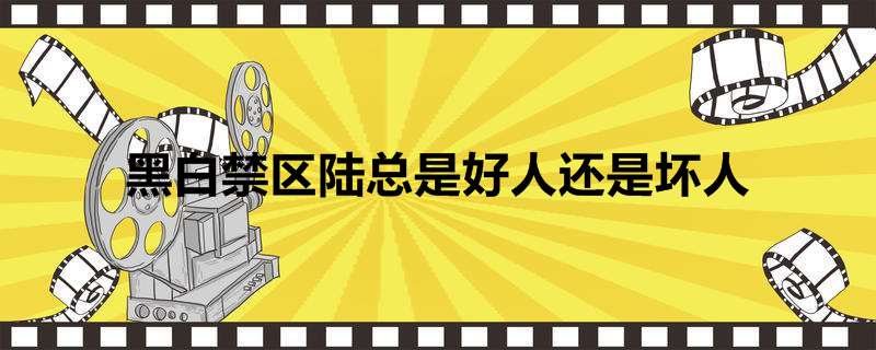 黑白禁区陆总是好人还是坏人