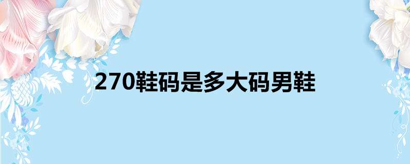 270鞋码是多大码男鞋