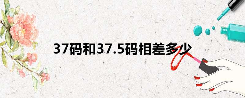 37码和37.5码相差多少
