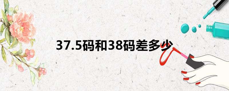 37.5码和38码差多少
