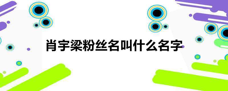 肖宇梁粉丝名叫什么名字