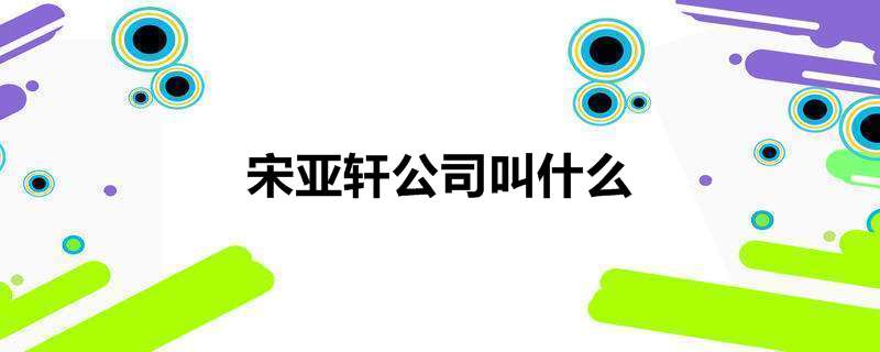宋亚轩公司叫什么