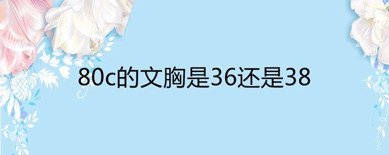 80c的文胸是36还是38