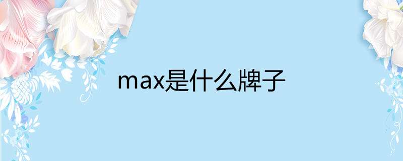 max是什么牌子