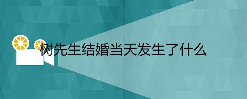 树先生结婚当天发生了什么