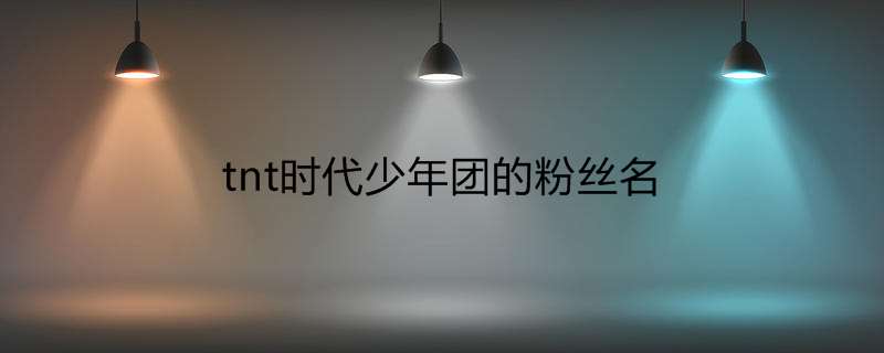 tnt时代少年团的粉丝名