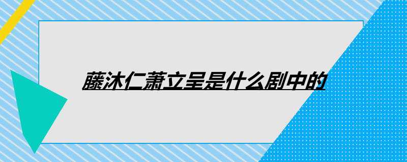 藤沐仁萧立呈是什么剧中的
