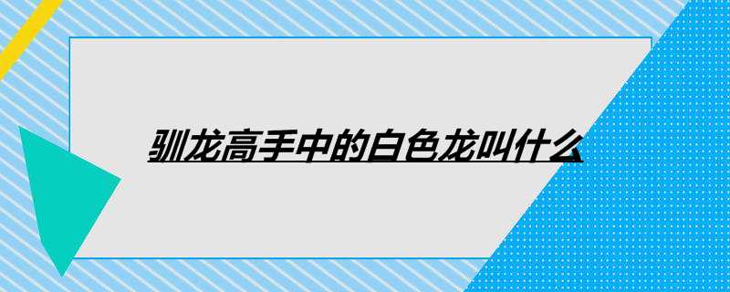 驯龙高手中的白色龙叫什么
