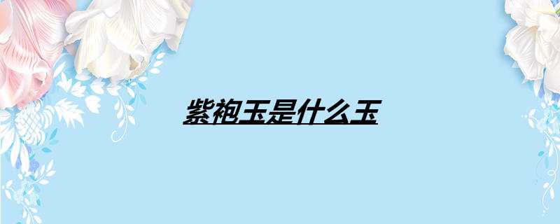 紫袍玉是什么玉