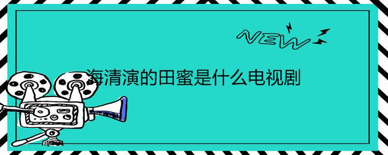 海清演的田蜜是什么电视剧