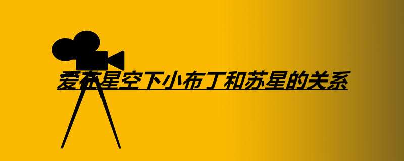 爱在星空下小布丁和苏星的关系