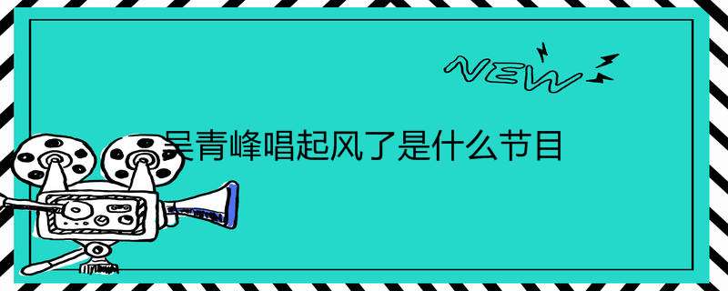 吴青峰唱起风了是什么节目