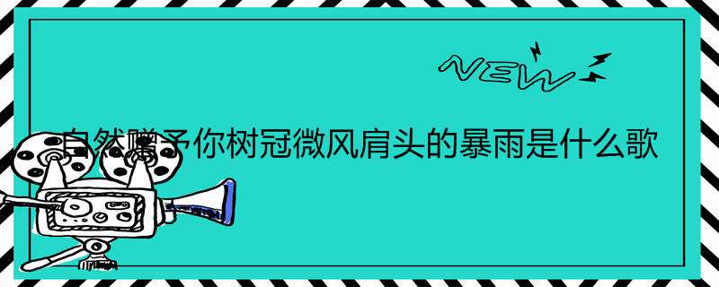 自然赠予你树冠微风肩头的暴雨是什么歌