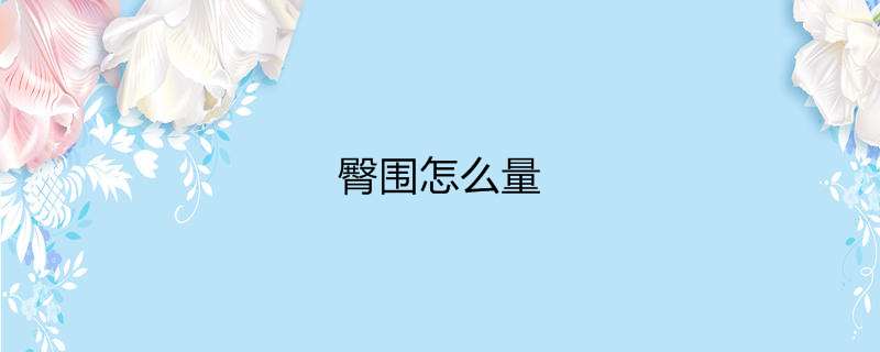 臀围怎么量