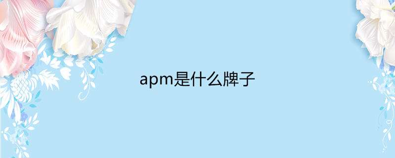 apm是什么牌子