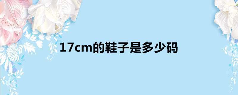 17cm的鞋子是多少码