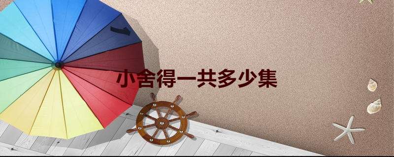 小舍得一共多少集