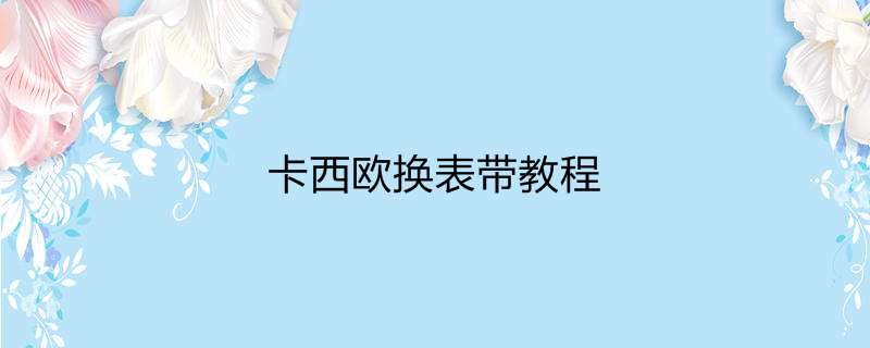 卡西欧换表带教程