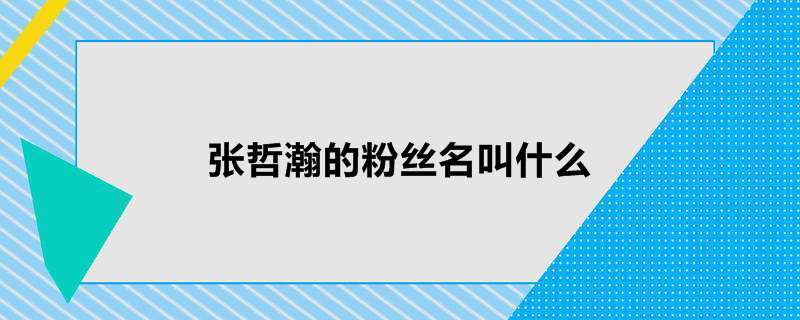 张哲瀚的粉丝名叫什么 张哲瀚演过的电视剧有哪些 热聚社