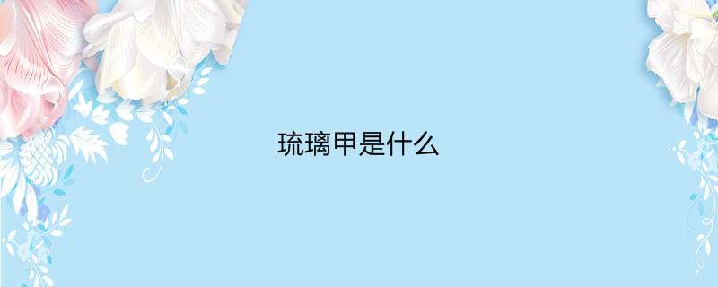 琉璃甲是什么