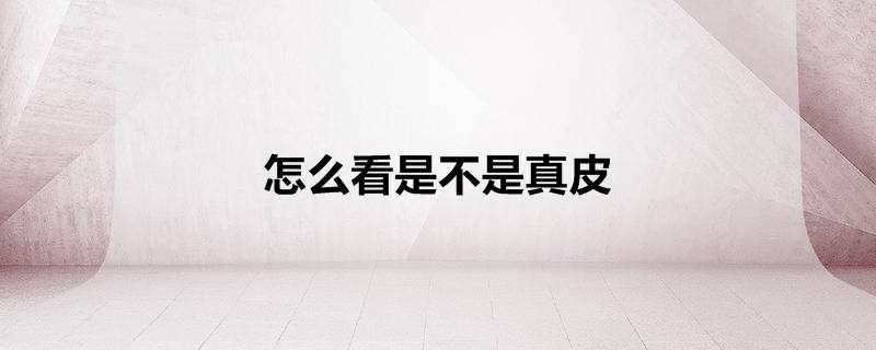 怎么看是不是真皮