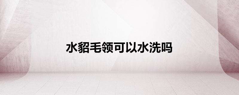 水貂毛领可以水洗吗