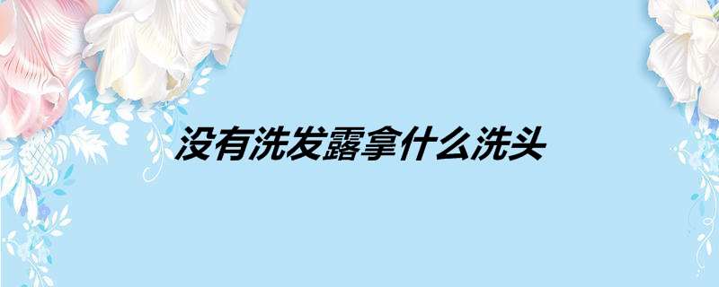 没有洗发露拿什么洗头