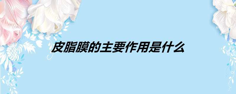 皮脂膜的主要作用是什么