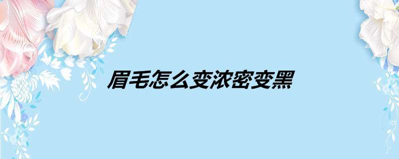 眉毛怎么变浓密变黑