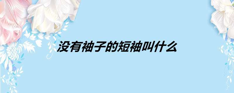 没有袖子的短袖叫什么