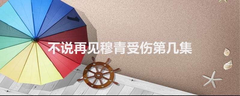 不说再见穆青受伤第几集