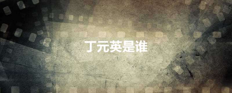 丁元英是谁