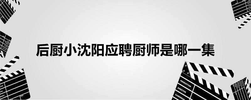 后厨小沈阳应聘厨师是哪一集